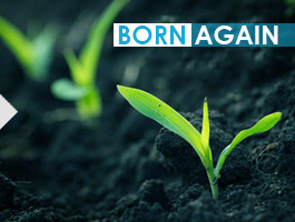 What do you mean by born again?